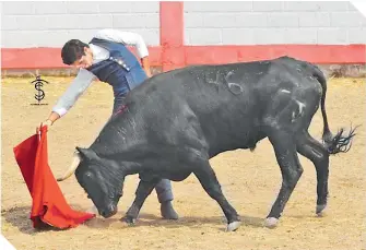  ?? FOTO: SALVADOR SANTOYO ?? Es el primer indulto en una ganadería que logra Sebastián.