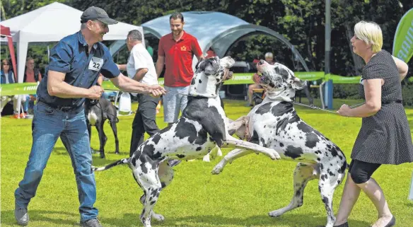  ?? FOTO: BERND BAUR ?? Synchron springen: die Sieger in der Paarklasse.