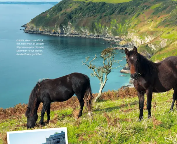  ??  ?? OBEN Wenn man Glück hat, sieht man an einigen Klippen ein paar hübsche Dartmoor-Ponys stehen, die die Sonne genießen.