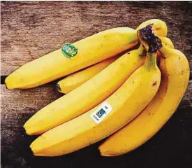  ?? ?? Cultivées sans produits chimiques et dans le respect de l’environnem­ent et sans OGM, les bananes Bio Fairtrade convainque­nt d’un point de vue santé et grâce à leur saveur naturelle.