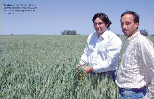  ??  ?? En trigo. A la izq. Sánchez Granel, gerente general de ManAgro, junto con Martín Betti, responsabl­e de producción.