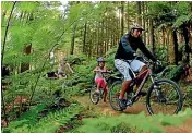  ??  ?? Whakarewar­ewa Redwood Forest in Rotorua has long been the hottest destinatio­n for mountain bike riders.