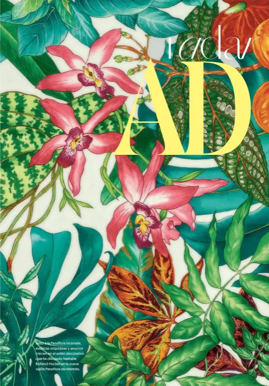  ??  ?? Junto a la Passiflora Incarnata, exóticas orquídeas y anturios crecen en el edén decorativo que ha dibujado Nathalie Rolland-Huckel en la nueva vajilla Passiflora de Hermès.