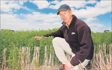  ??  ?? KNOWHOW: Agricultur­e Victoria pulse-research agronomist Jason Brand was among experts who provided informatio­n and advice during a Growing Pulses webinar series.
