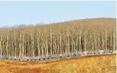  ??  ?? An excavator moves next to a tree line at the constructi­on site of a mine of Hellas Gold, a subsidiary of Canadian mining company Eldorado Gold Corp, in Skouries, in the Halkidiki region, northern Greece. — Reuters photo