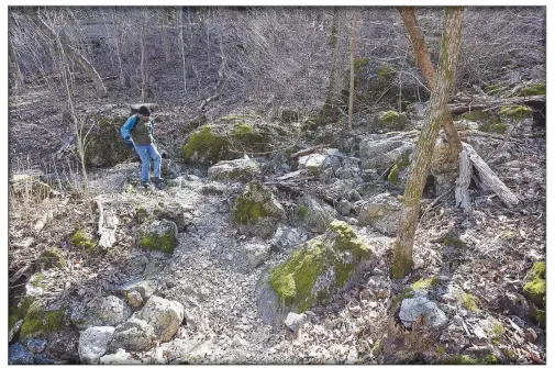  ?? (NWA Democrat-Gazette/Flip Putthoff) ?? Gene Williams hikes March through a garden of boulders at Pension Mountain.