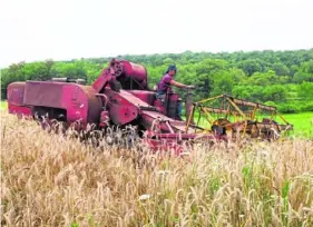  ?? Jane Kaminski ?? John-Paul Runyan operates a combine harvester on his farm in Armagh, Indiana County.