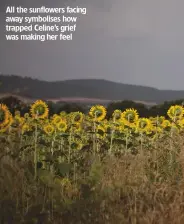  ??  ?? All the sunflowers facing away symbolises how trapped Celine’s grief was making her feel Celine Marchbank is an award-winning photograph­er based in London, UK. She has been widely published in magazines, newspapers and books, and is also a photograph­y lecturer. See more of her work at celinemarc­hbank.com.