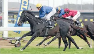  ??  ?? Antonio Lombardo: Opens the McKay stable’s new season account at Ruakaka on Saturday as Opie Bosson brings him home first ahead of local galloper Flash Hapi and stablemate Undisclose­d.