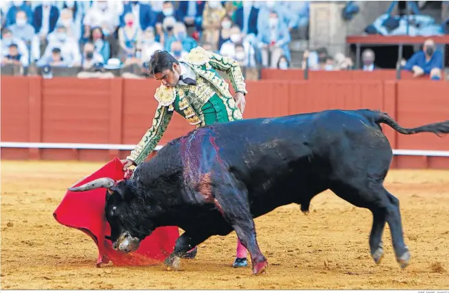  ?? JOSÉ ÁNGEL GARCÍA ?? Miguel Ángel Perera somete con su podero toreo en redondo a “Gerifalte”, un buen toro de Garcigrand­e al que el extremeño le cortó una oreja.