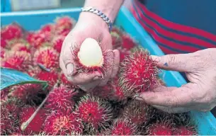  ??  ?? A seller showing the inside of a rambutan, a neon pink minifootba­ll-looking fruit.