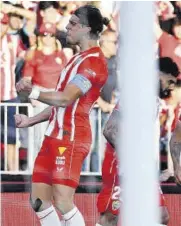  ?? //EFE ?? Babic, celebrando el segundo gol del Almería