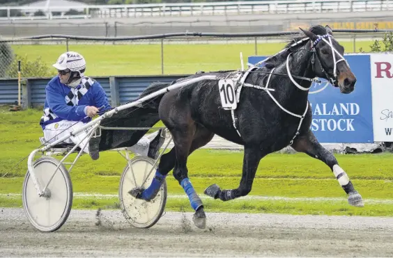  ?? PHOTO: ODT FILES ?? Big chance . . . Dark Horse is one of a strong sixhorse team trainerdri­ver Nathan Williamson starts at Omakau today.