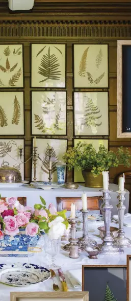  ??  ?? LEFT A fabulous display of Victorian pressed fern leaves in Bridget Elworthy’s dining room.