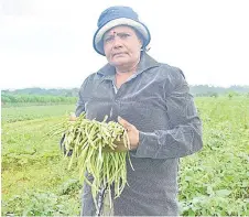  ?? Picture: JONA KONATACI ?? Haras Mati with long beans harvested from her family farm.