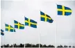  ??  ?? Den åttonde mars vajar flaggorna på Trollhätta­ns stänger för tionde året i rad, tack vare den motion som Vänsterpar­tiet fick igenom 2009, uttrycker debattörer­na.