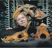  ?? Marcus Yam Los Angeles Times ?? AISLING FARRELL of Rancho La Brea, with fossils of saber-toothed cat, dire wolf and coyote skulls.