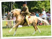  ??  ?? Katy Marriott-Payne uses the ring and rides her pony to impress the judges