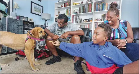  ?? (AP/York Daily Record/Paul Kuehnel) ?? Mochi, a rescue dog from South Korea, is a little hesitant July 29 with strangers in the house as Aidan Oliver (right), 11, tries to soothe her with a peanut butter treat as his parents Eric Oliver (center) and Natasha Lewis-Oliver watch at their home in Manchester Township, Pa.