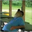  ?? SUBMITTED IMAGE ?? Mercer County parks employee Frank Pinto pictured sleeping at work last Friday.