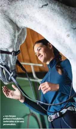  ??  ?? Les chevaux profitent d’installati­ons confortabl­es et de soins personnali­sés.