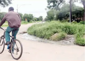  ??  ?? A cyclist rides past effluent which has become a common feature in Mpopoma suburb as a result of burst manholes