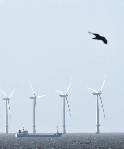  ?? Picture: Reuters ?? MORE TO COME. A cargo ship passes in front of an offshore wind farm in the English Channel near Clacton-onSea in south east England.