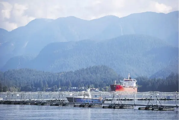  ??  ?? Kinder Morgan’s Westridge Marine Terminal in Burnaby, B.C., is part of the Trans Mountain pipeline expansion. The feds announced Friday a 22-week review of the pipeline’s impact on marine life as its first corrective action prescribed by the Federal Court of Appeal.