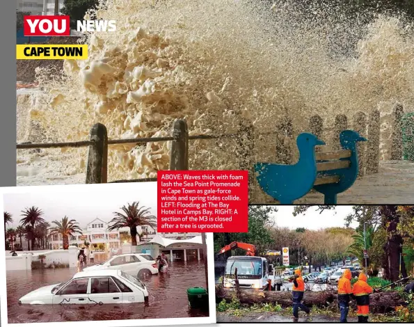  ??  ?? ABOVE: Waves thick with foam lash the Sea Point Promenade in Cape Town as gale-force winds and spring tides collide. LEFT: Flooding at The Bay Hotel in Camps Bay. RIGHT: A section of the M3 is closed after a tree is uprooted.