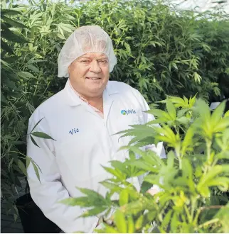  ?? DAX MELMER/FILES ?? Vic Neufeld, CEO of licensed producer Aphria Inc., is hopeful there will be more certainty soon with TMX Group Ltd.’s new policy for marijuana companies with U.S. interests. Producers have faced some pushback on the Canadian exchanges due to hazy regulation­s in the U.S.