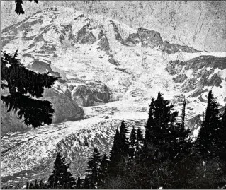  ?? COURTESY OF THE LIBRARY OF CONGRESS ?? A photo shows Mount Rainier when the ice was thick and robust, extending far down the mountainsi­de. Nowadays, due to climate change, rocks are tumbling down from the retreating glaciers, wiping out old-growth forests and changing the course of rivers.