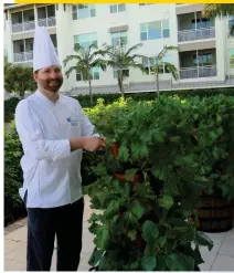  ??  ?? Vi at Bentley Village, a senior living community in Naples, is a BZP worksite, where executive chef Joel Hetrick cultivates on-site herbs and vegetables.