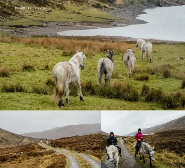  ??  ?? Clockwise from top left: Highland ponies trotting elegantly in unison; keeping an eye on the map; grazing in Glenbeg; heading to Rogie Falls; Cal trekking through the persistent rain; onwards over the moor.