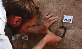  ?? Photograph: British Museum ?? Excavating inscribed cones from the walls of the temple in Tello.