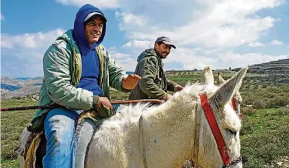  ?? JAMIL CHADE / ESTADÃO ?? Constrangi­mento. Primos, hoje pastores de ovelhas e cabras, trabalhara­m na construção de muro na Cisjordâni­a