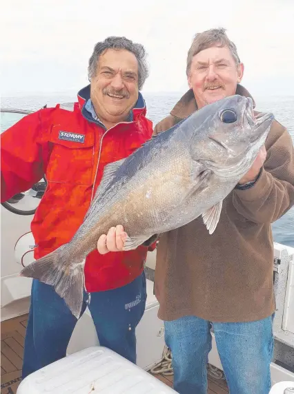  ?? Picture: BOB McPHERSON ?? George Gereige and Lachie Wombell with one of the blue-eye trevalla caught at the weekend.