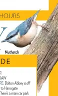  ??  ?? Nuthatch