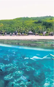  ??  ?? Snorkellin­g house reef at Octopus Resort..