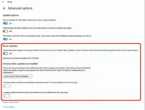  ??  ?? These additional Windows Update options are available to Windows 10 Pro users, but not to Home users.