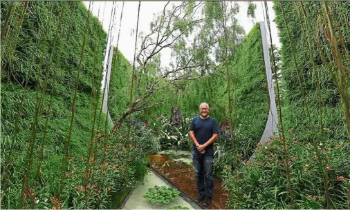  ?? The Straits Times/
sia e s et or ?? Green thumb: Lim surroun e y the stunning greenery of rice plants
otte ith splashes of colour from flo ering shru s in his sho piece gar en at the Singapore
ar en esti al.