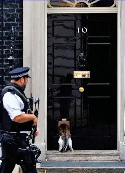  ??  ?? Private entrance: An armed policeman watches Larry use the new Downing Street cat flap
