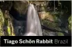  ??  ?? Tiago Schön Rabbit Brazil