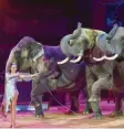  ??  ?? Jana Mandana Lacey‰Krone mit den Kro‰ ne‰Elefanten – links die Elefantenk­uh Mala.