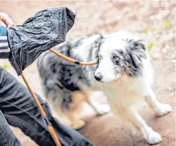  ?? FOTO: MAJA HITIJ/DPA ?? Hundehalte­r sind dazu verpflicht­et, die Hinterlass­enschaften ihrer Haustiere aufzusamme­ln und zu entsorgen. Allerdings hält sich nicht jeder daran. In Südtirol hat das jetzt Konsequenz­en.