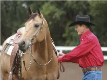  ??  ?? Saddling up for spring riding requires that both you and your horse are fit and conditione­d to venture out onto the trail or in the arena.