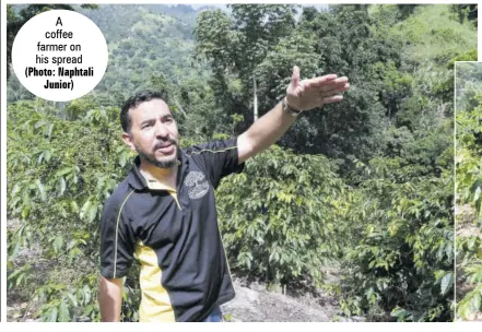  ?? (Photo: Naphtali Junior) ?? A coffee farmer on his spread