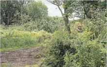  ?? THE HAMILTON SPECTATOR FILE PHOTO ?? A file photo shows the driveway leading to a property off Golf links Road where trees were razed on a wooded lot in 2014.