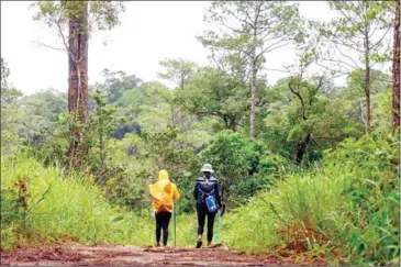  ?? SUPPLIED ?? Young women go hiking in an ecotourism area in Kampong Speu province.