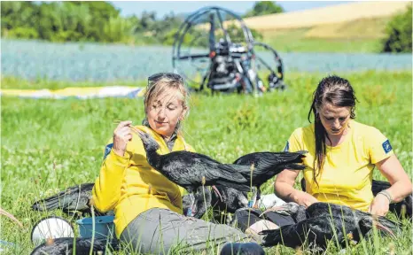  ?? FOTO: FELIX KÄSTLE ?? Die Zieheltern Corinna Ersterer (rechts) und Anne-Gabriela Schmalstie­g sitzen in einer Kolonie von rund drei Monate alten Waldrappen. Ziel ist es, die Jungvögel auf ihren Weg ins Wintergebi­et, die Toskana, zu führen. Drei bis viermal haben die...