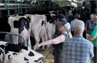  ??  ?? J.M.S. Amitiés possède 300 bêtes, dont 135 vaches, en plus de 187 hectares de cultures servant principale­ment à nourrir l’élevage.